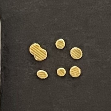 黒い紙に置いた砂金、土肥金山