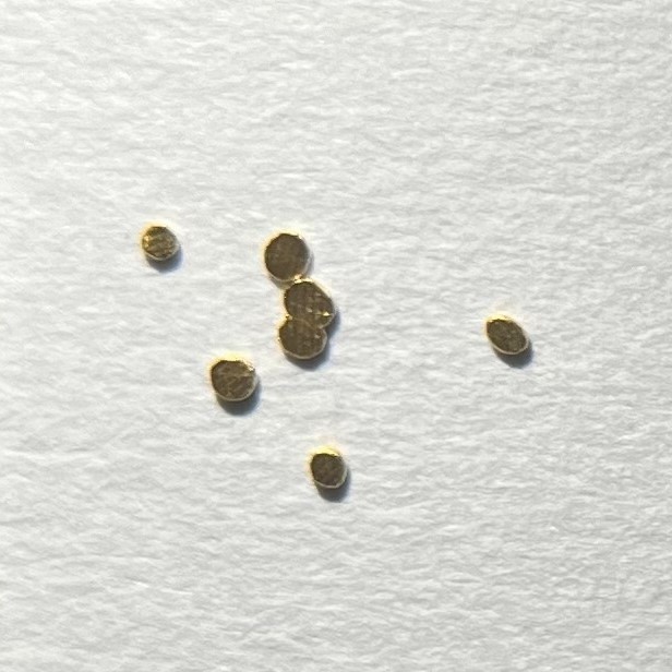白い紙に置いた砂金、土肥金山