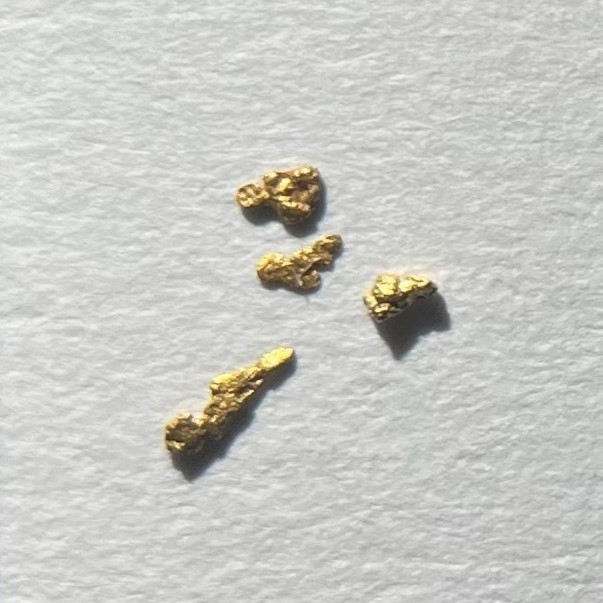 白い紙に置いた砂金、佐渡西三川ゴールドパーク