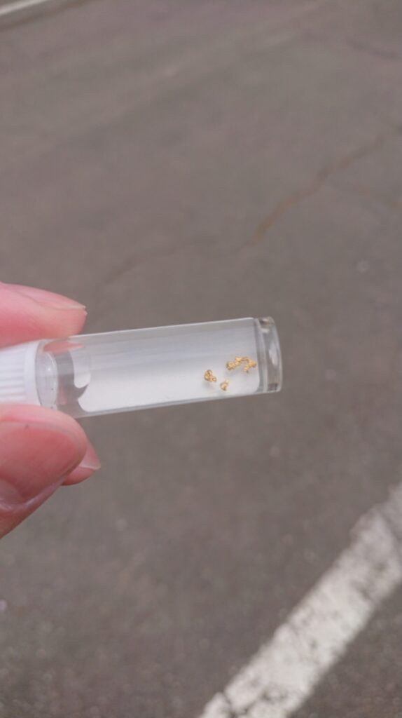 容器に入った砂金